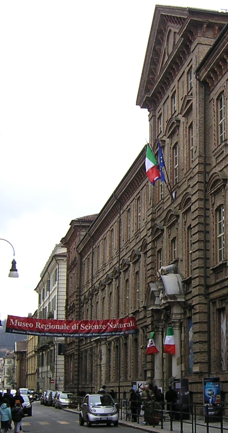 Marco Bellardi