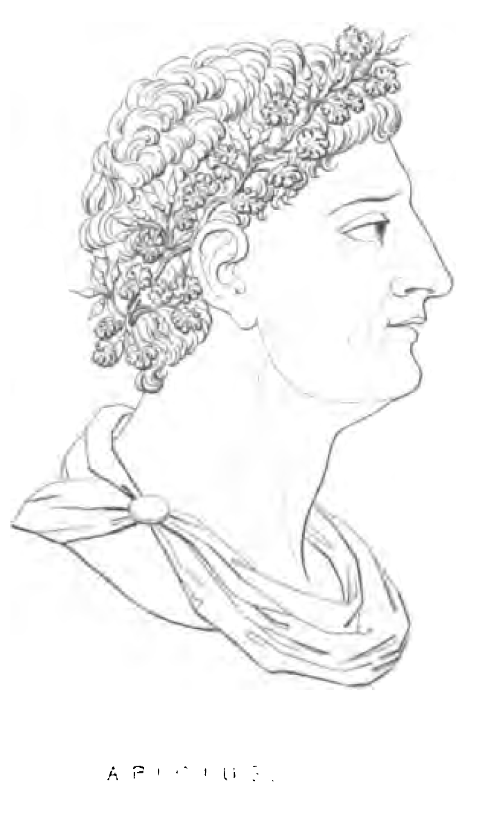 Marcus Gavius Apicius