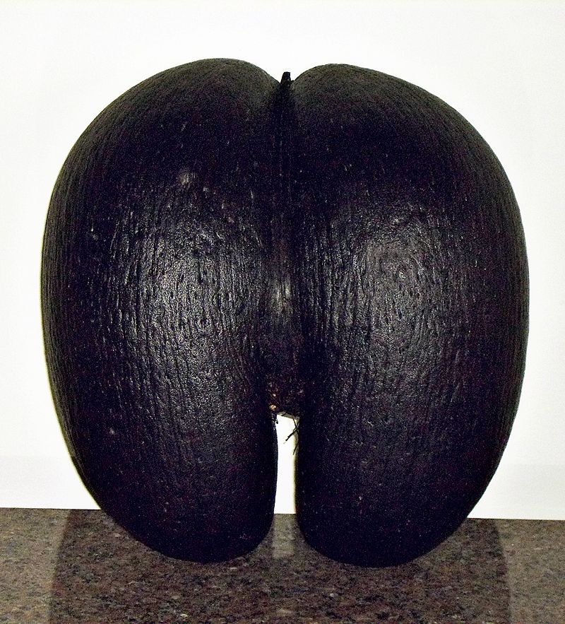 Margaret Gadek