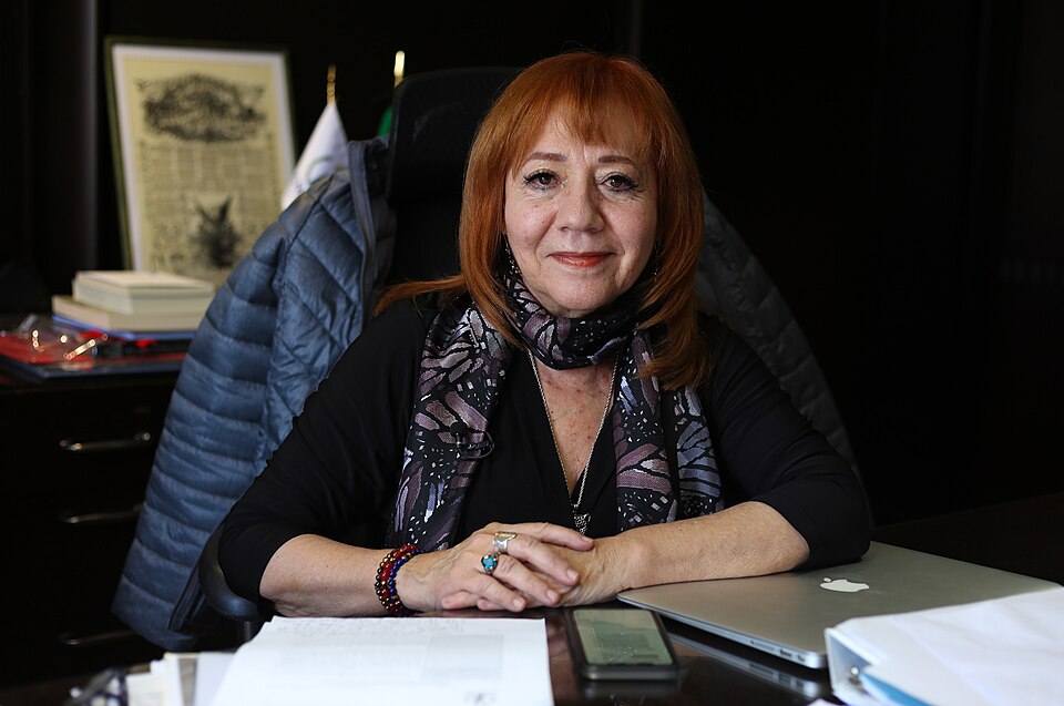María del Rosario Piedra Ibarra