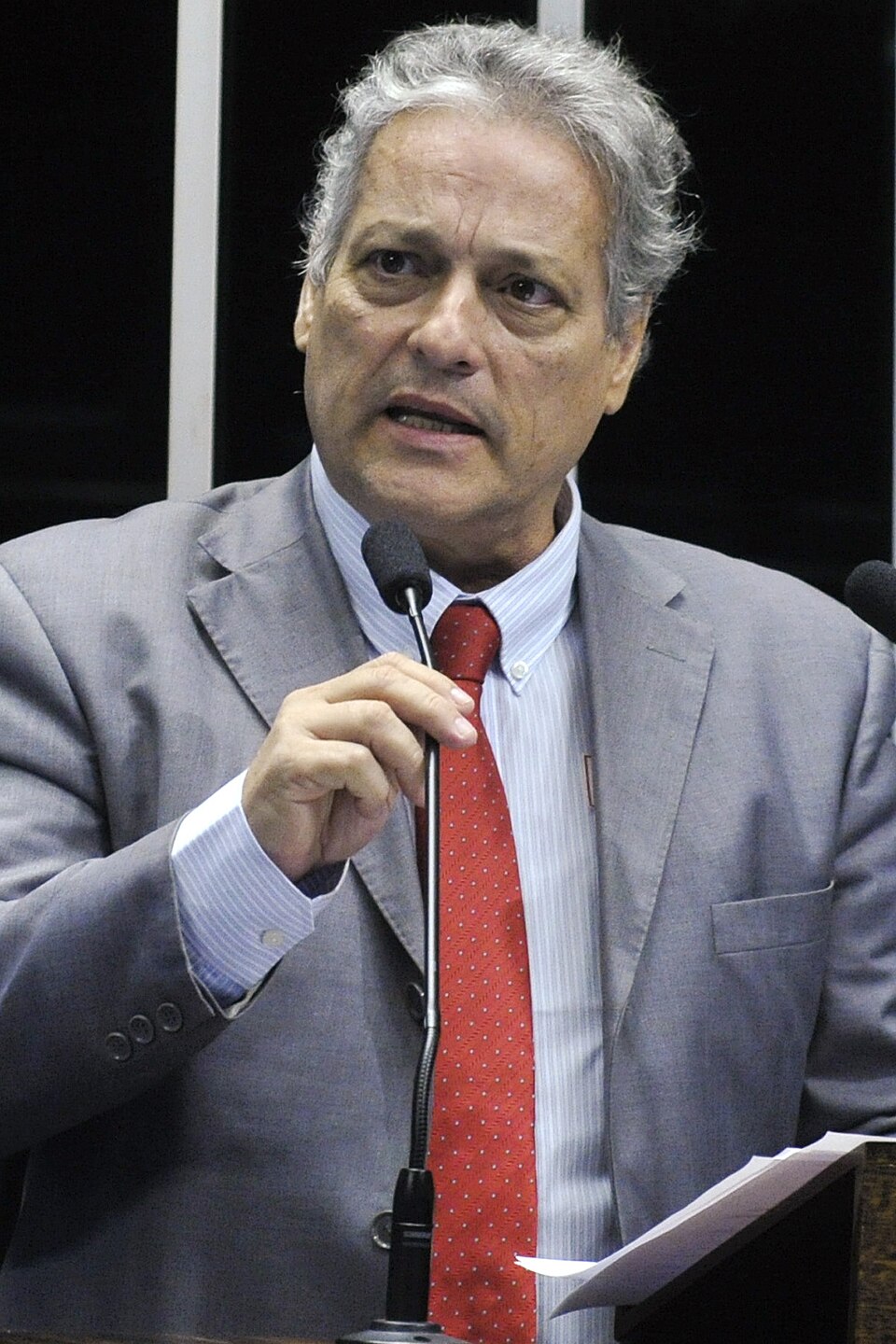 Maria João Vicente