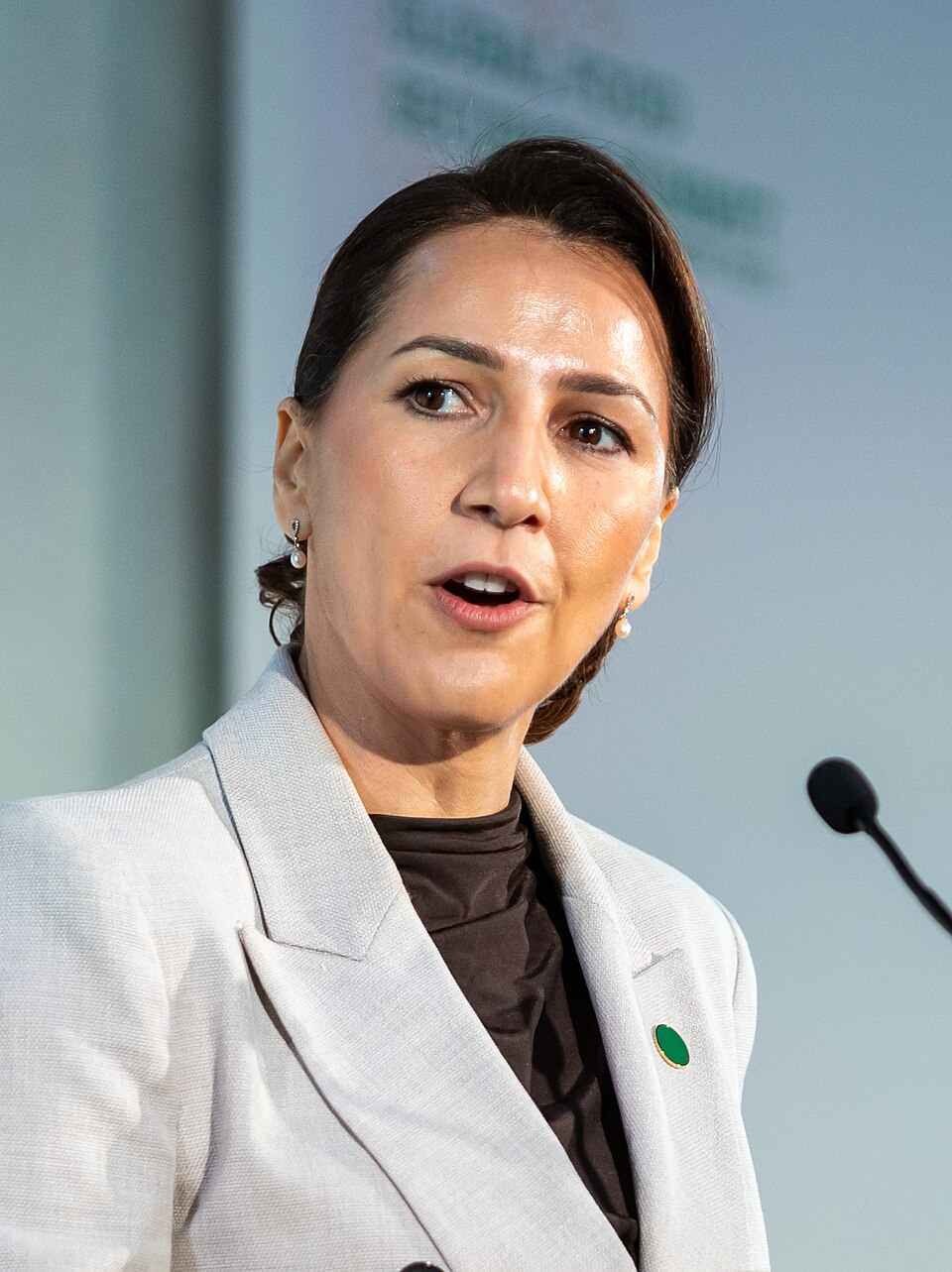 Mariam bint Mohammed Al Mehairi