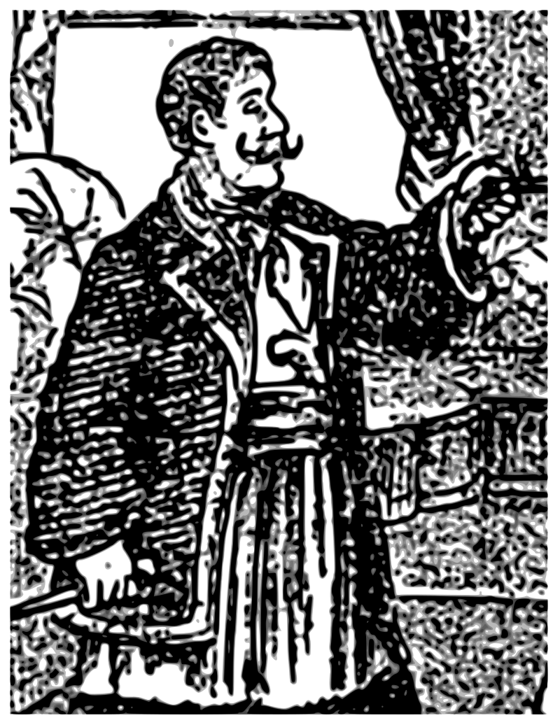Marian Haiducu