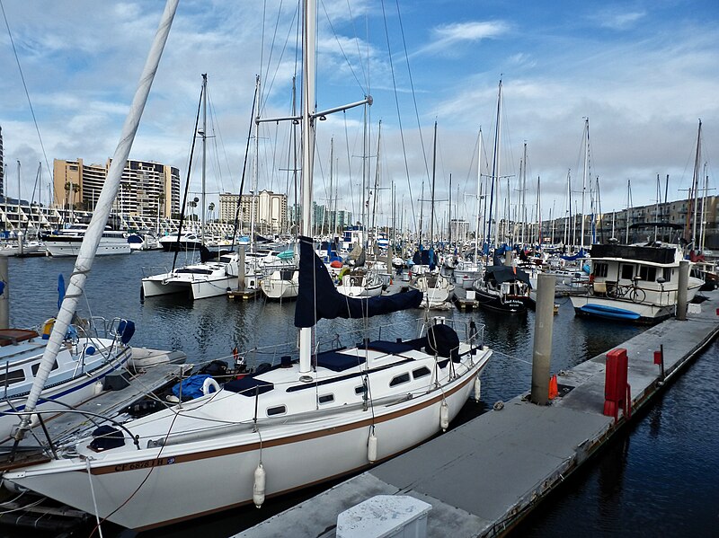 Marina Rey
