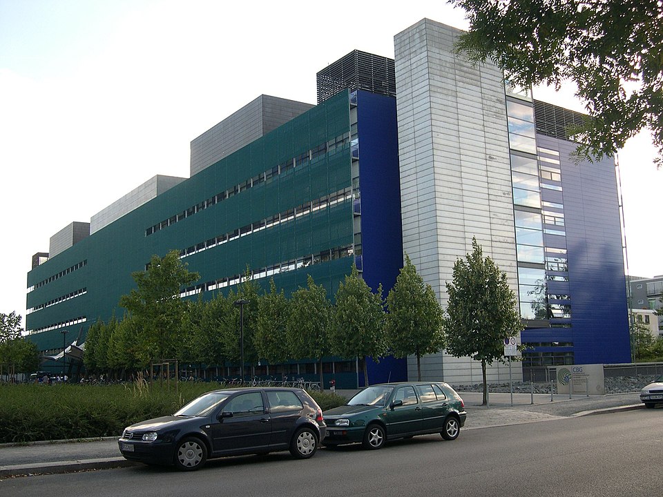 Marino Zerial