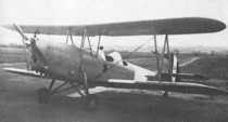 Mario Bottini