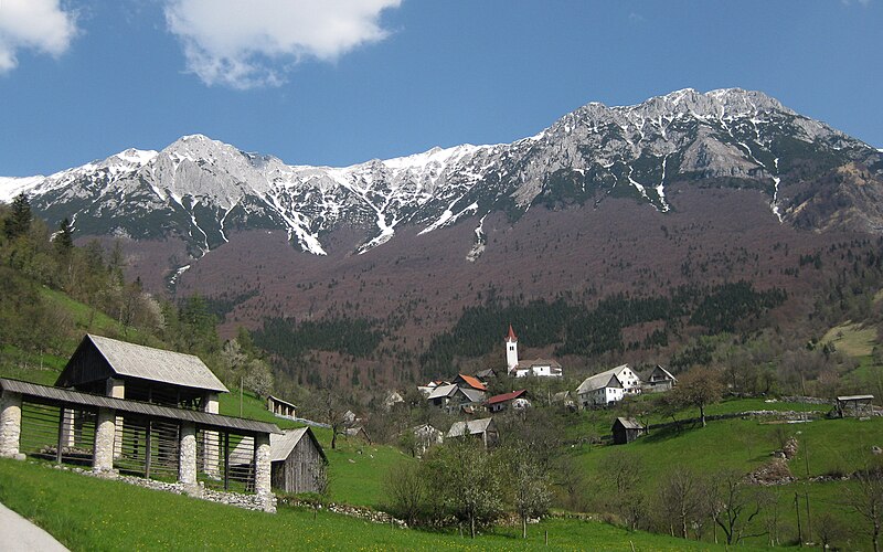 Marko Rut