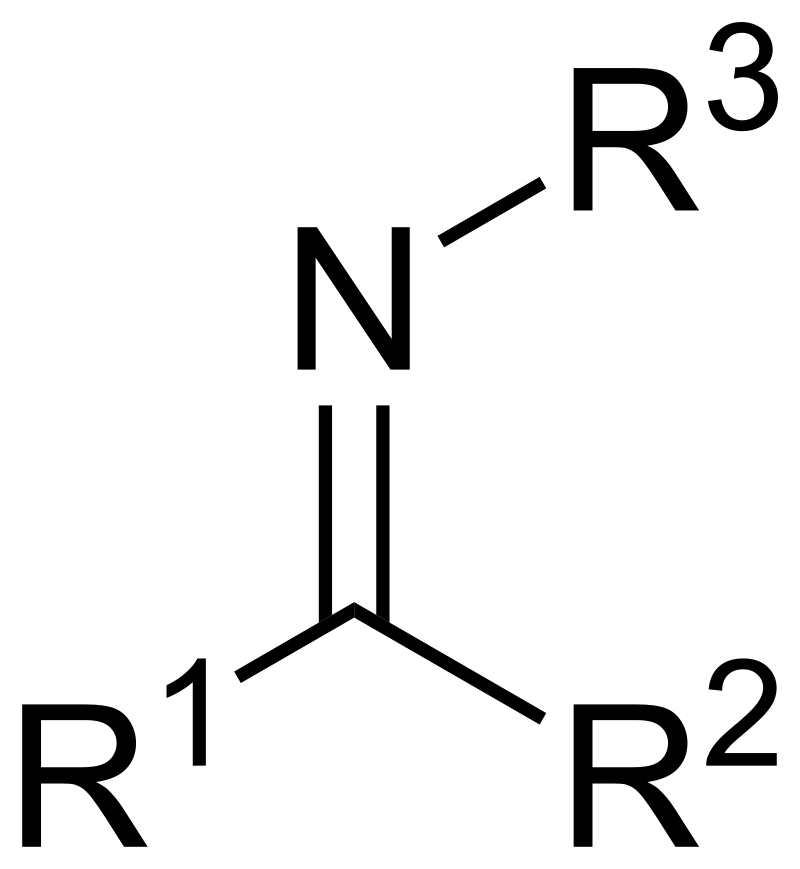 Marsini