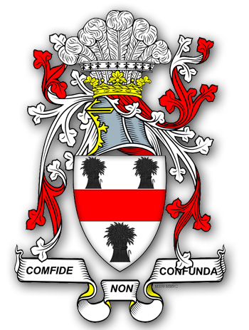 Martin Tyndall