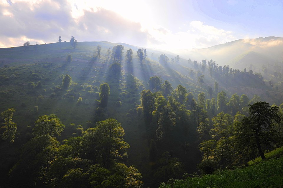 Masal