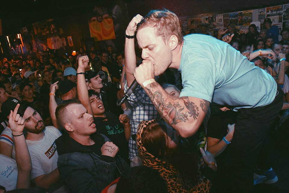 Matt Tripp