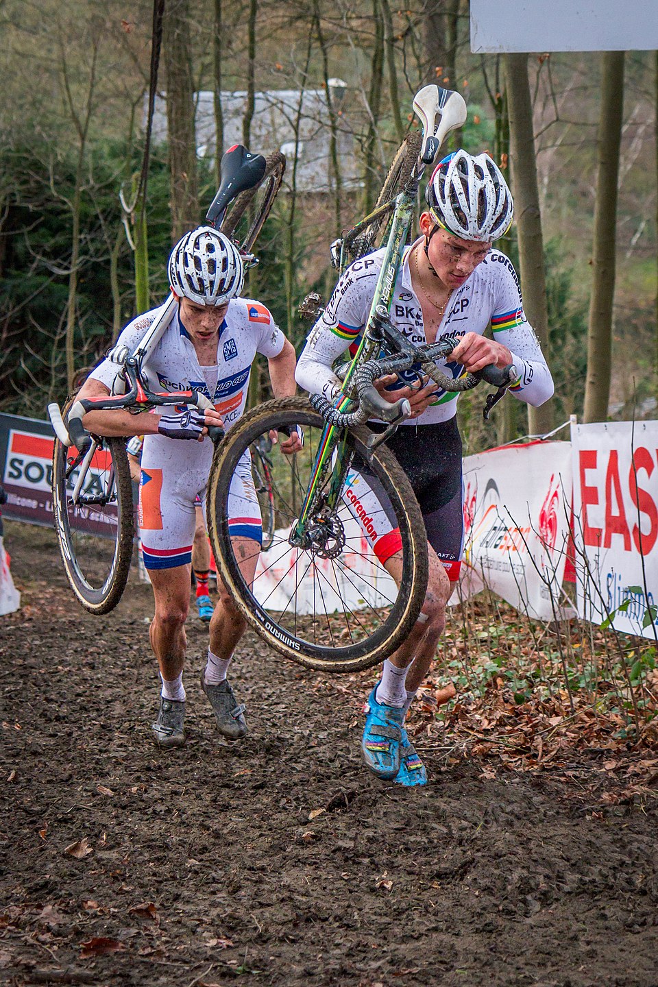 Matteo van der Poel