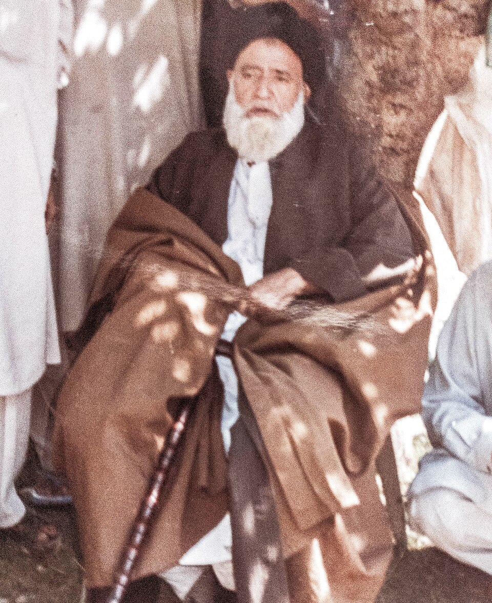 Maulana Wilayat Hussain