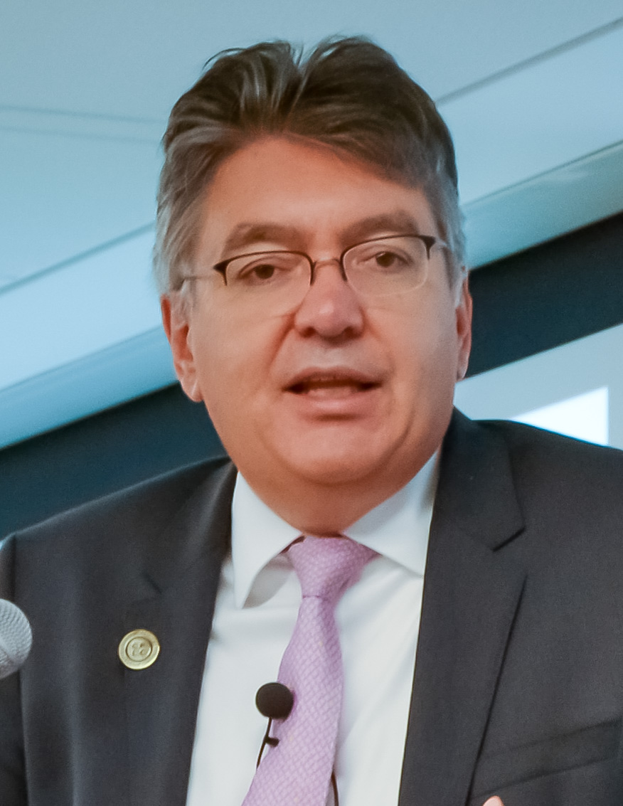 Mauricio Villamizar Villegas