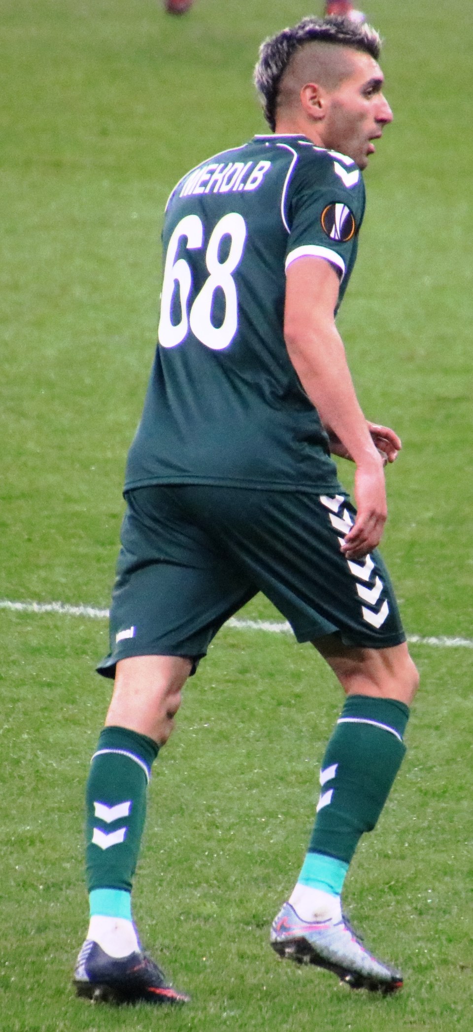 Mehdi Bourabia