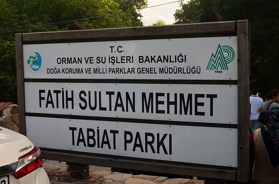 Mehmet Fatih Çiçekli