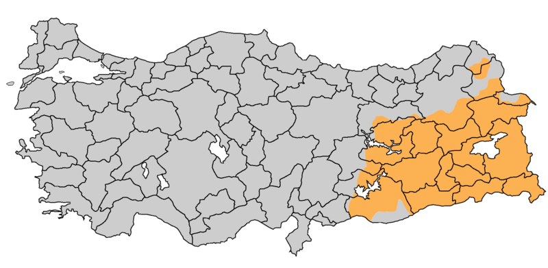Mehmet Uçum