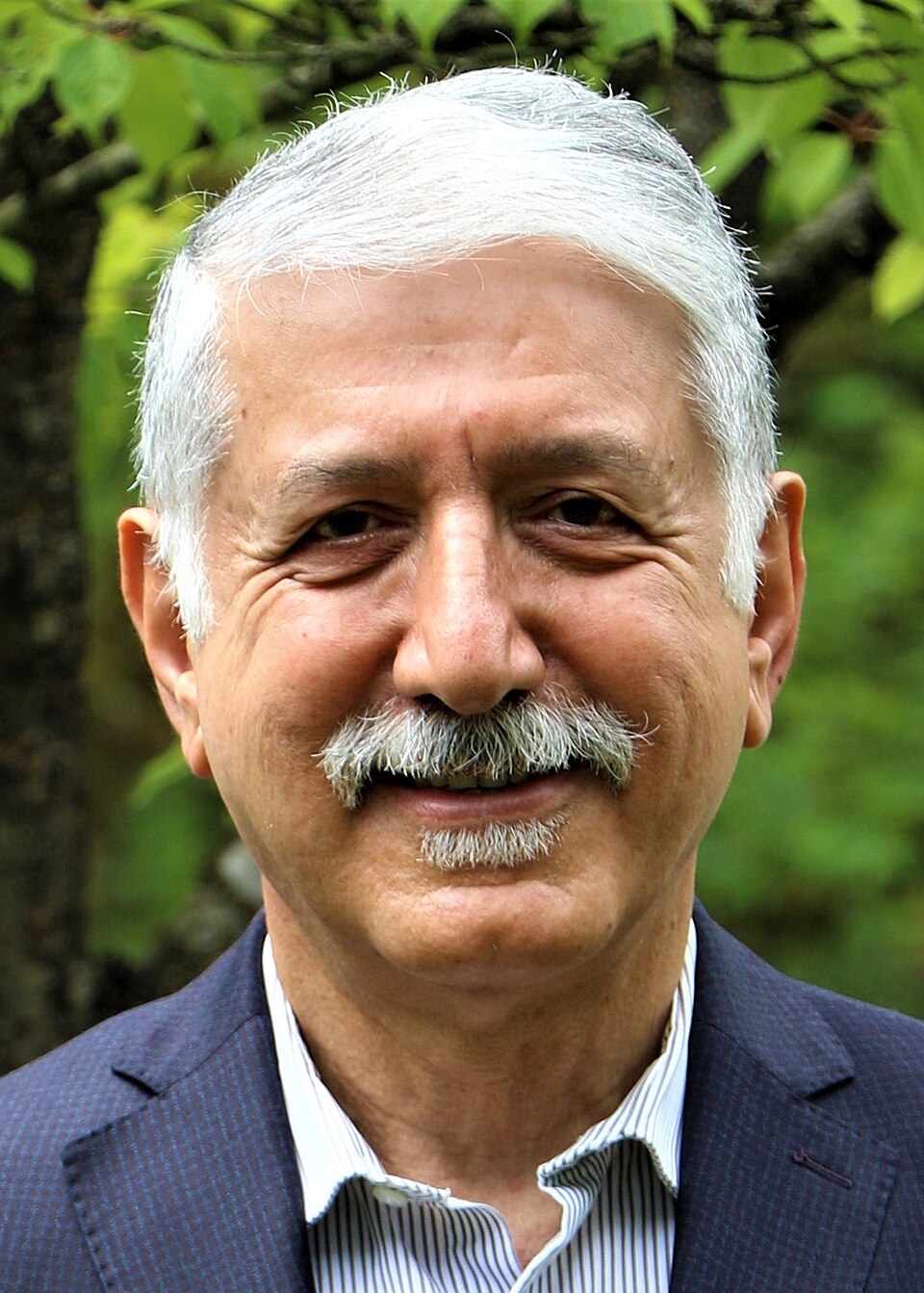 Mehrdad Hassan Zadeh