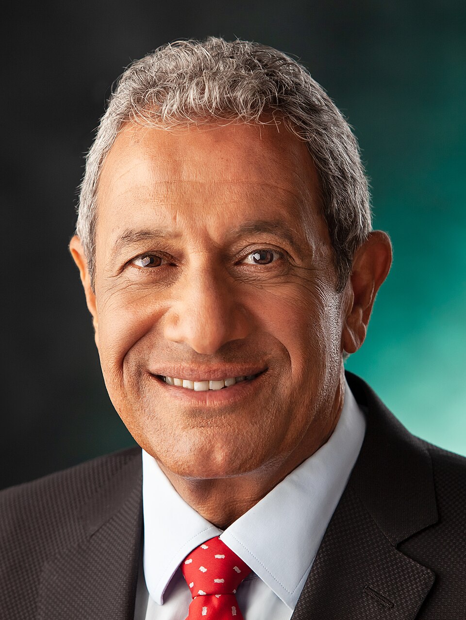 Meir Yitzhak Halevi