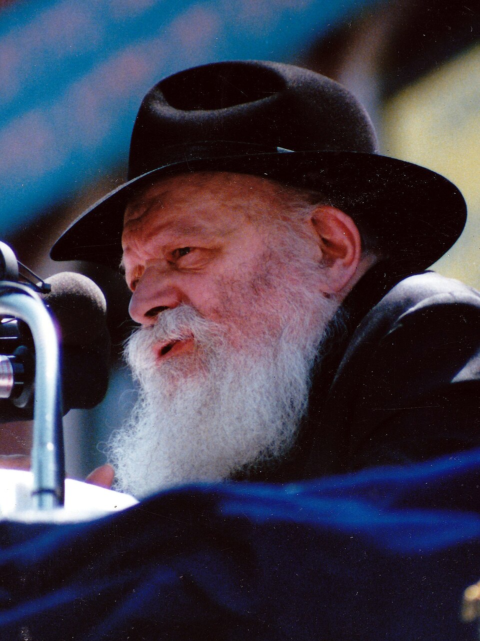 Menachem Tzvi Berlin