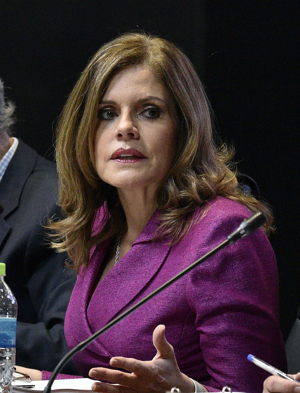 Mercedes Araóz