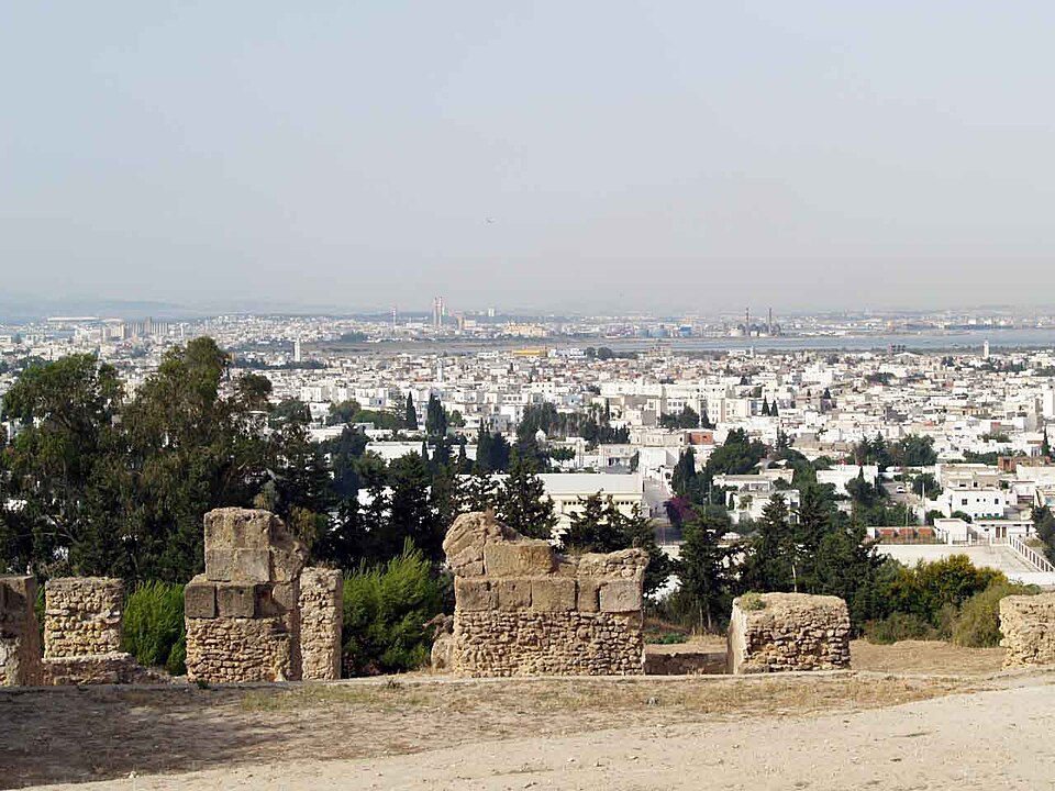Meriem Tarzi