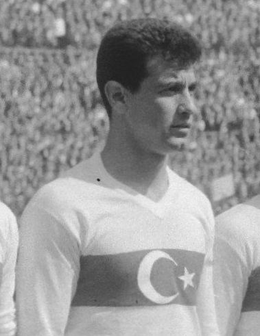 Metin Sarı