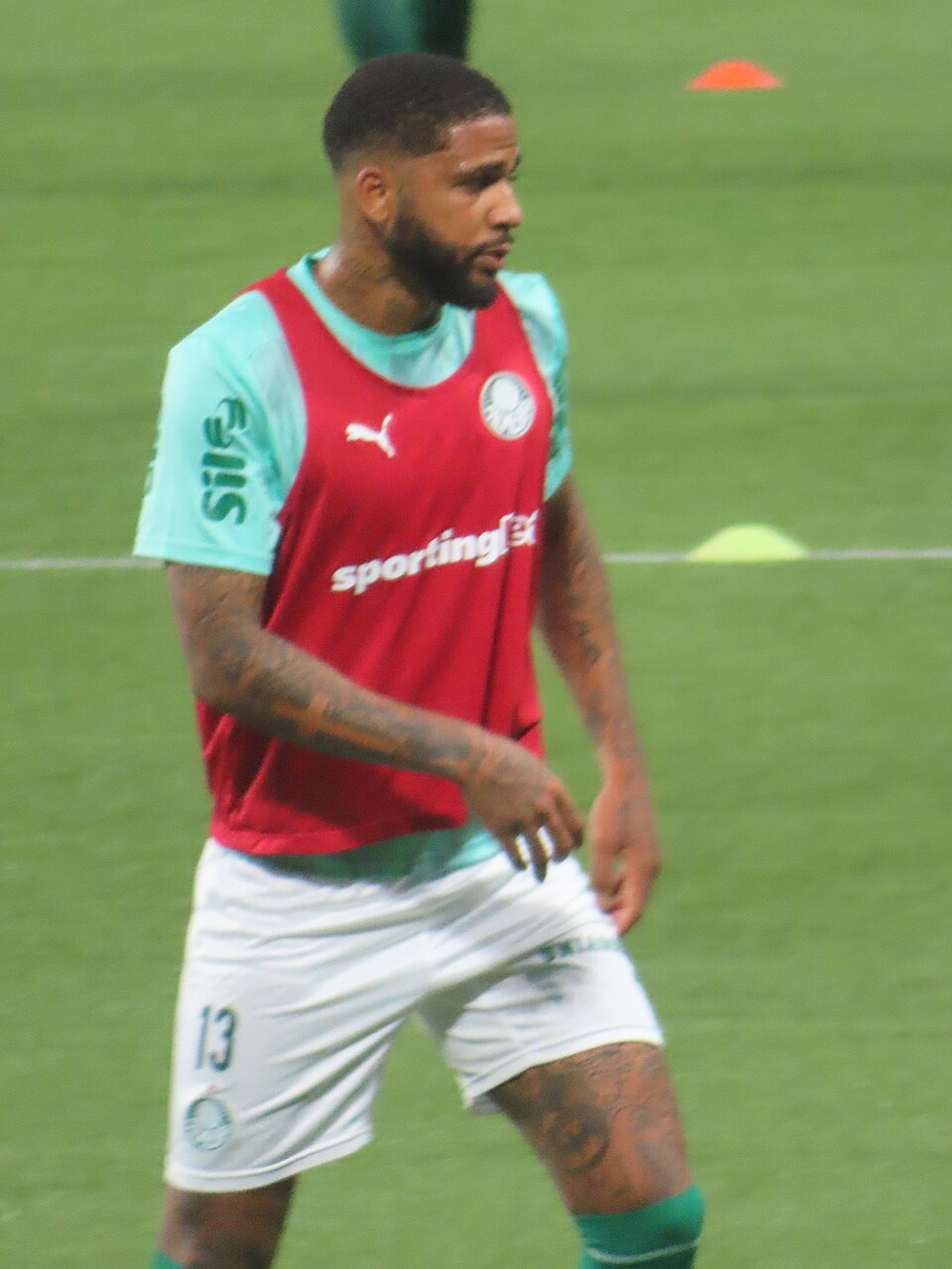 Micael Dos Santos