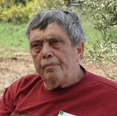 Micha Levi