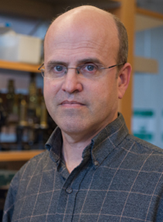 Michael Dietrich