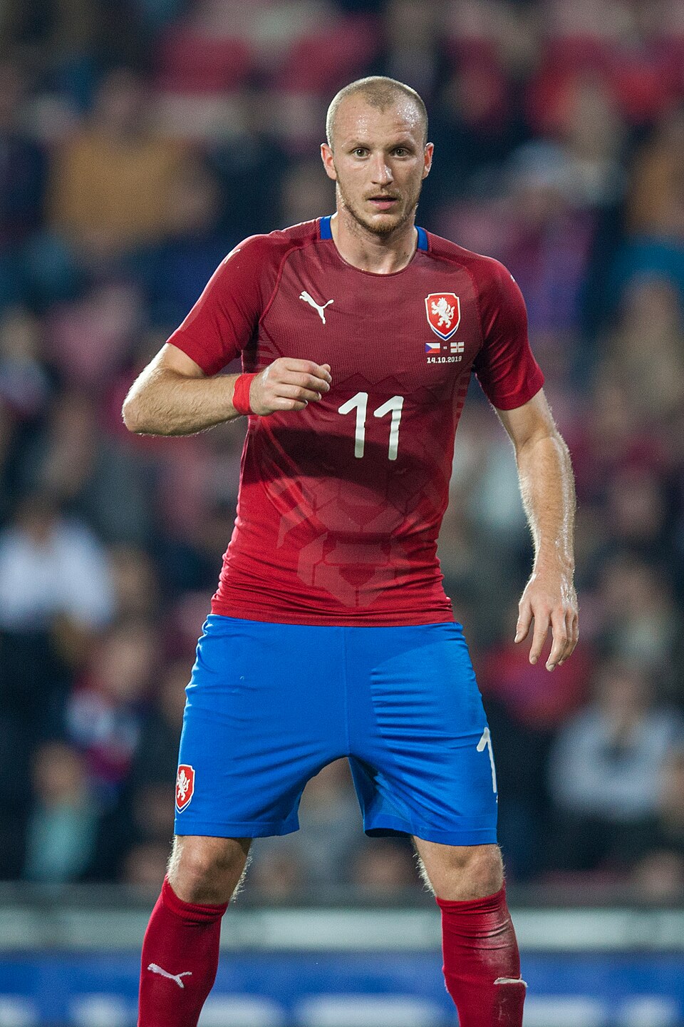Michal Stipek