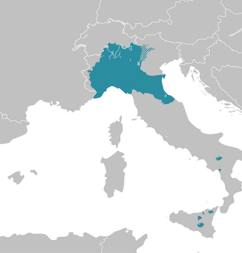 Michele Fuso