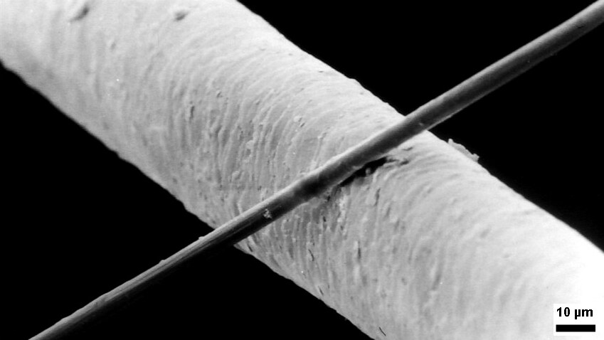 Micron