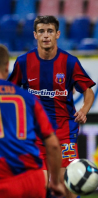 Mihai Marian