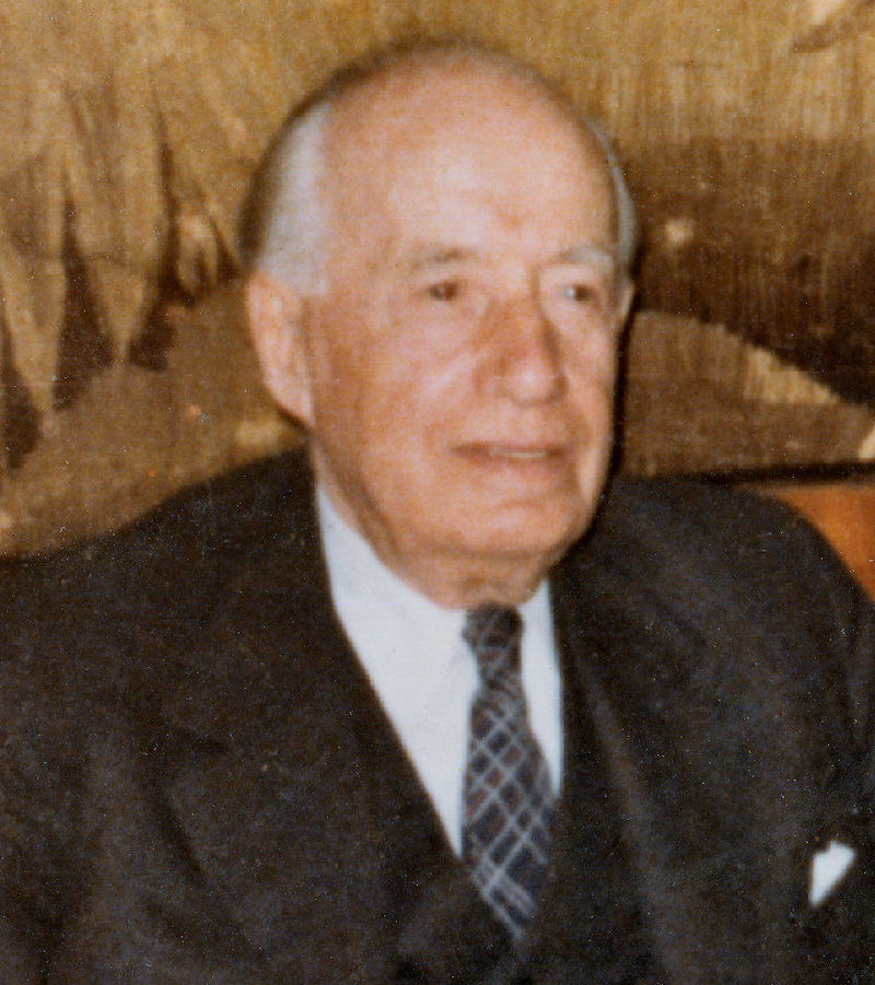 Mihai Marina