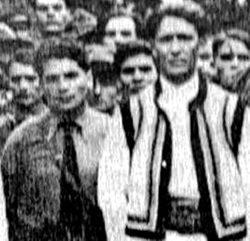 Mihai Stelescu