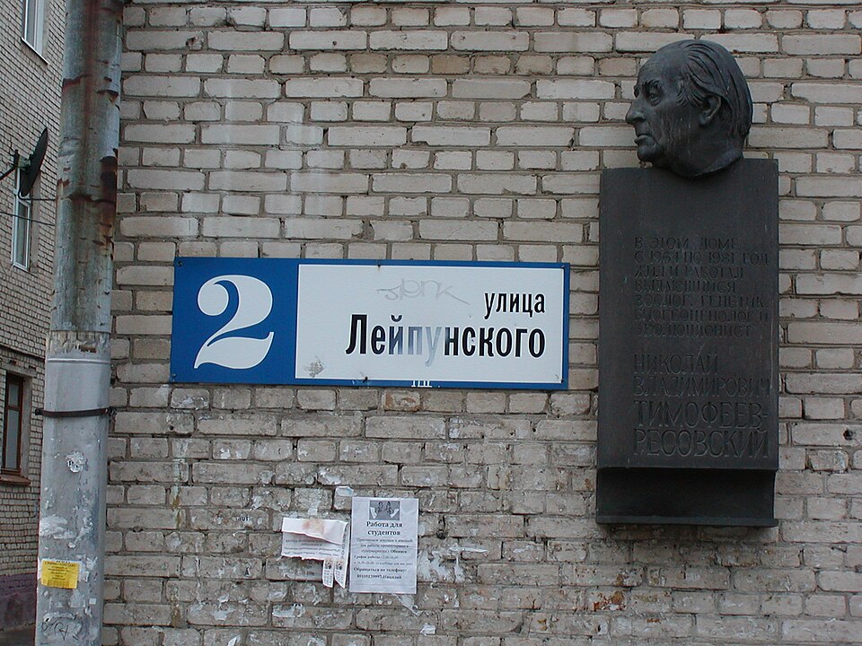 Mikhail Lapunov