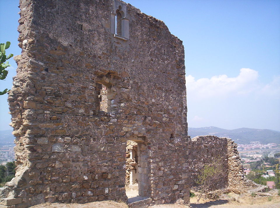 Miquel Molins