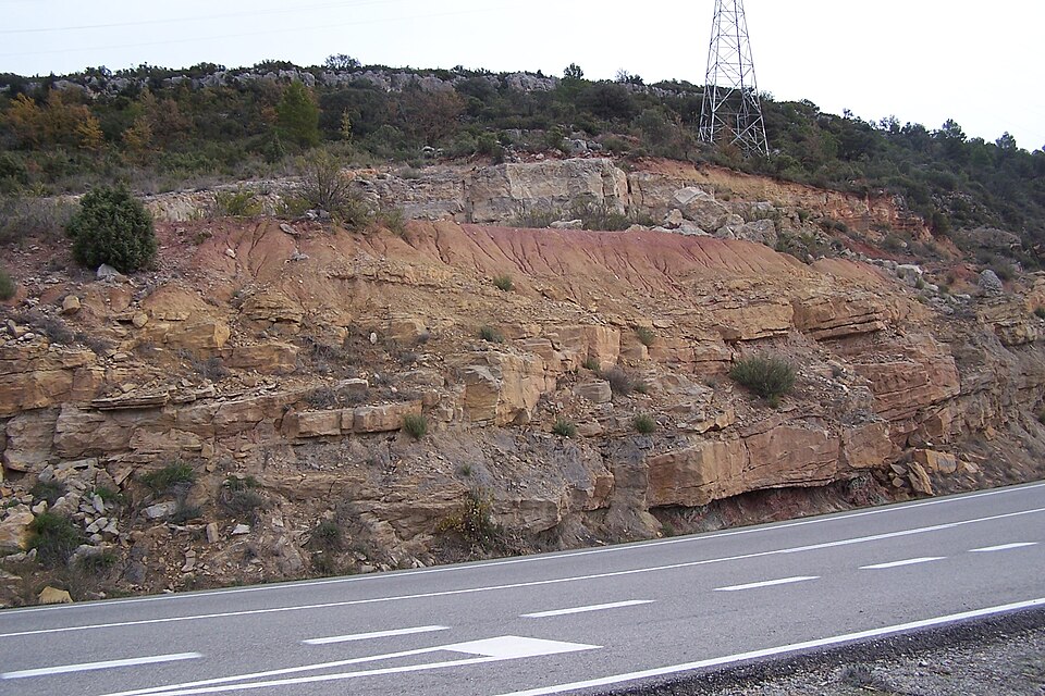 Miquel Orcau
