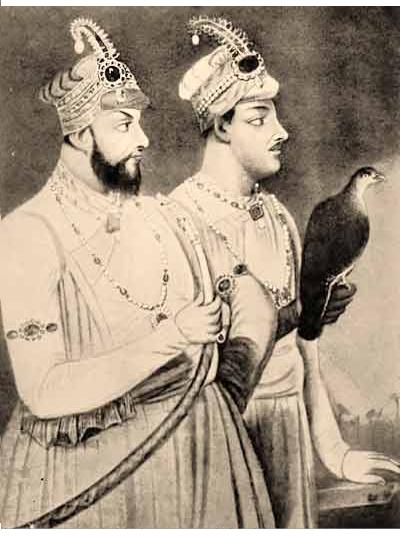 Mir Reza Ali
