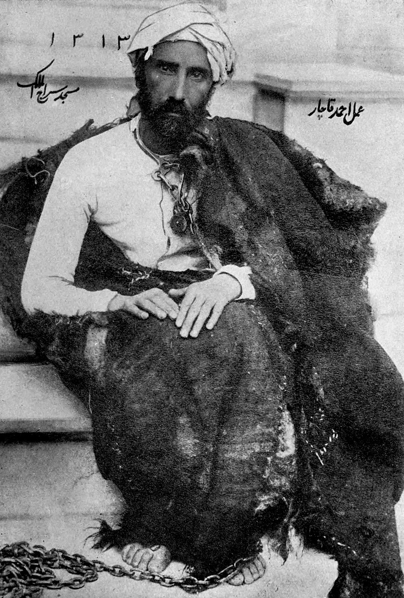 Mirza Reza Kermani