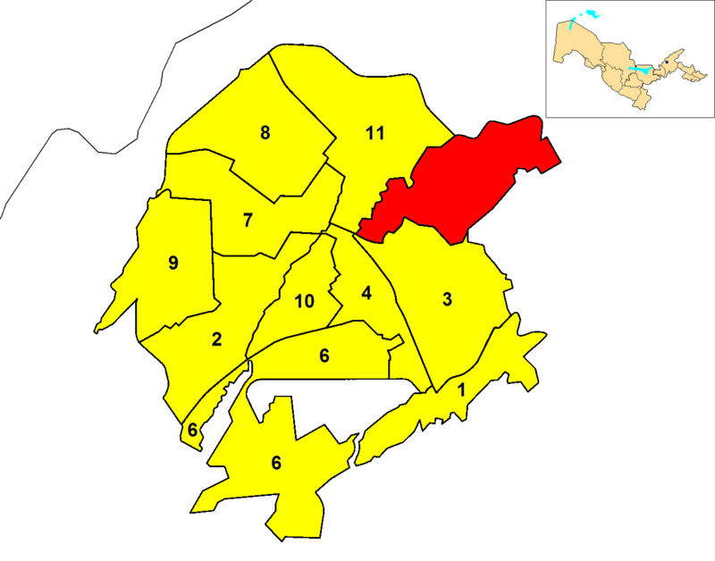Mirzo Ulug'bek