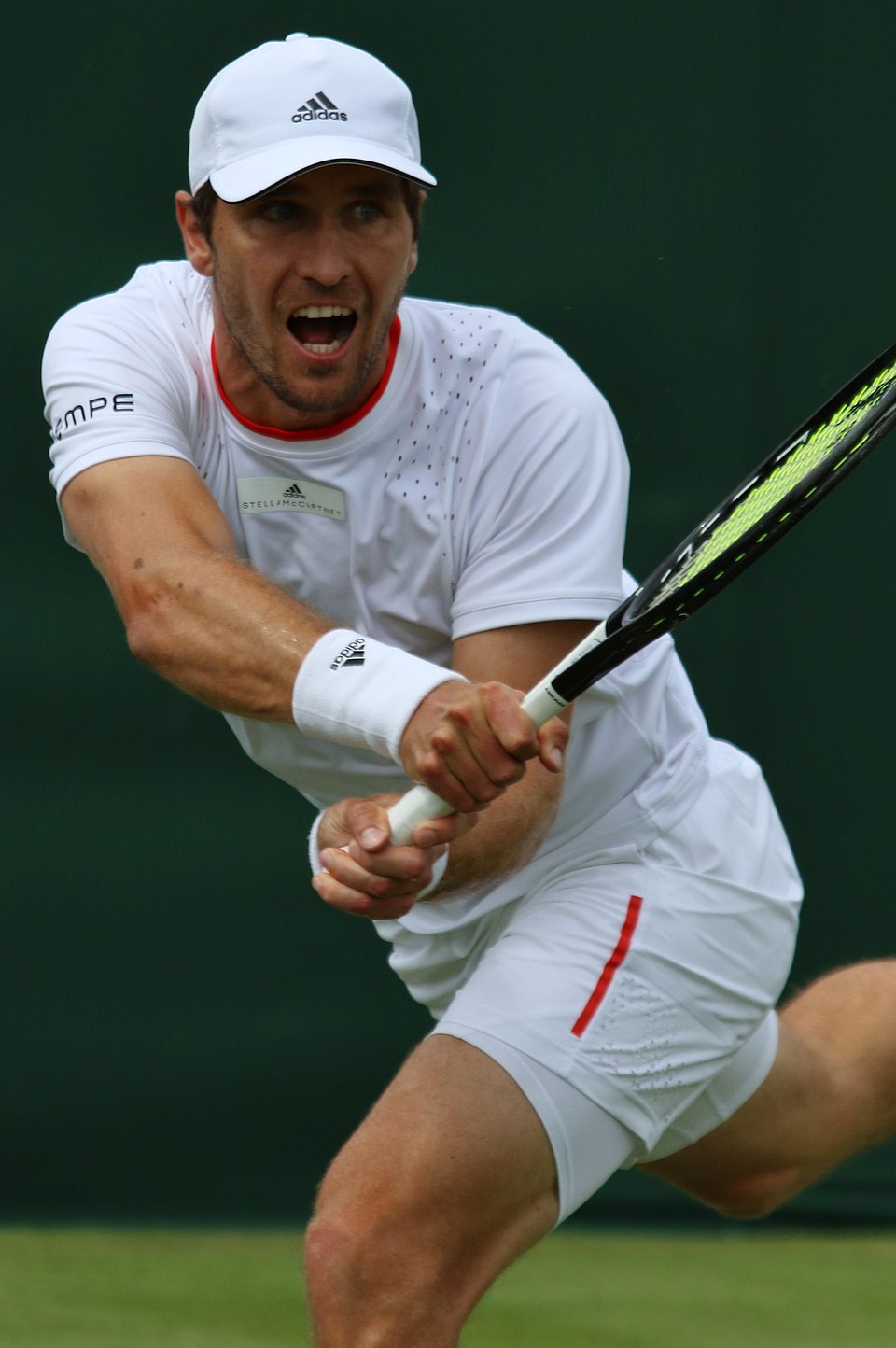 Misha Zverev
