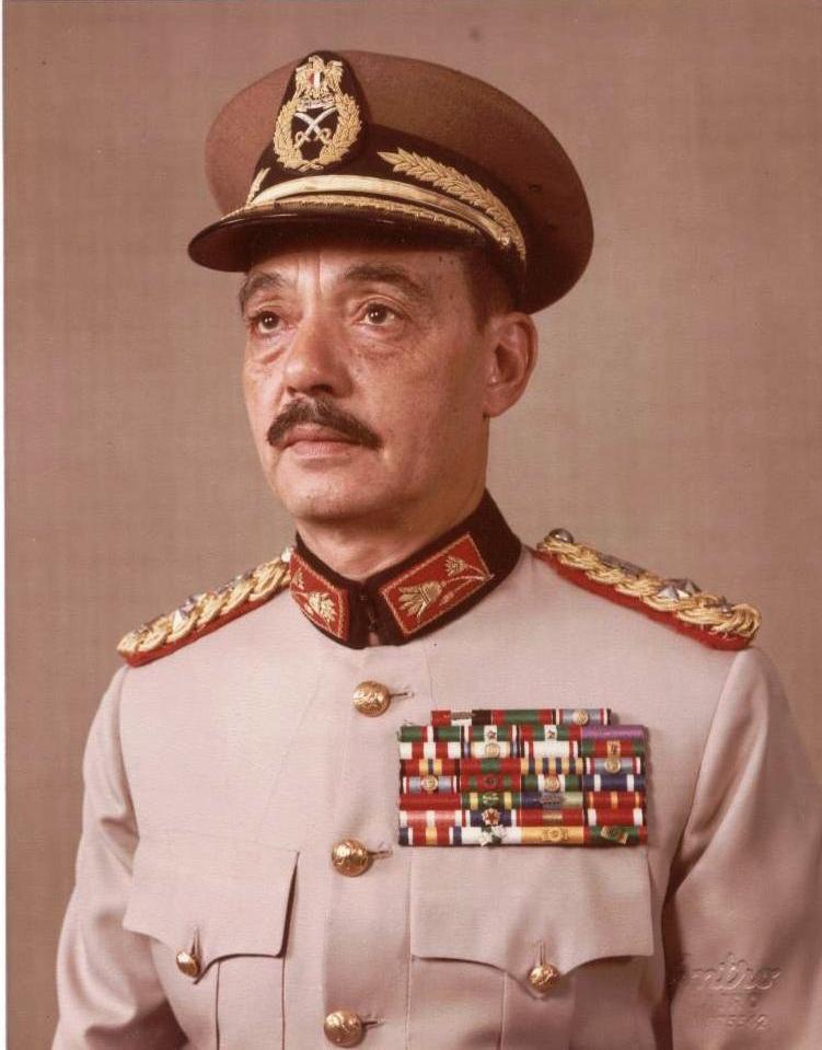 Mohamed Abdel Ghani El Gamasy