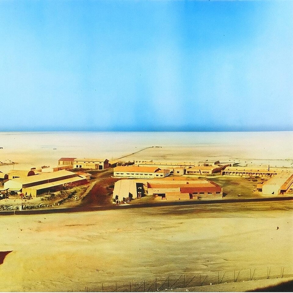 Mohamed Al-Halaq