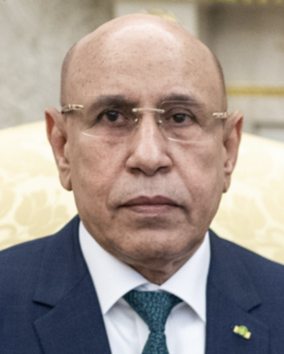 Mohamed Cheikh Ould Sidi Mohamed