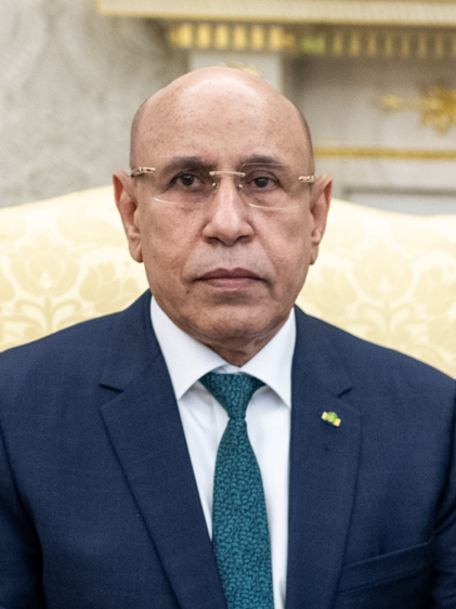 Mohamed Fadel Ould Cheikh Mohamed Fadel