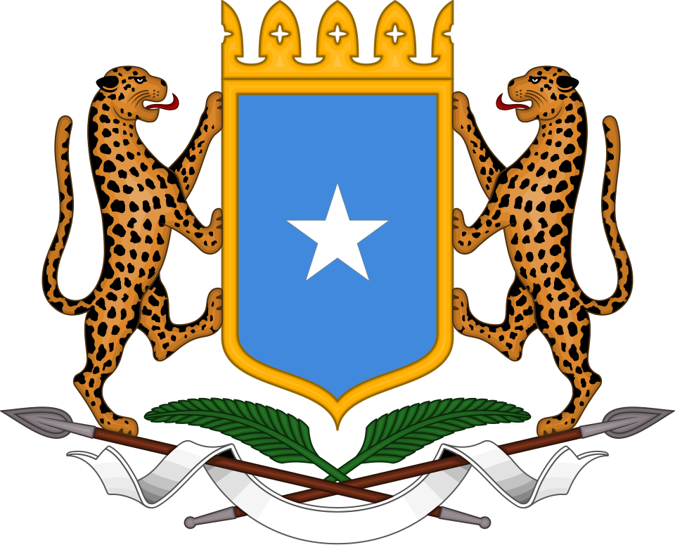 Mohamed Hassan Adow