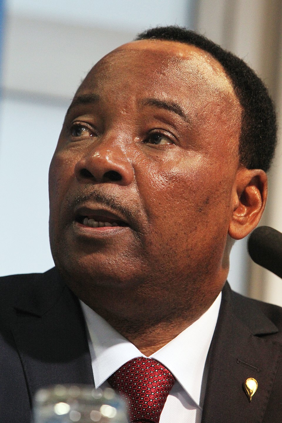 Mohamed Issoufou