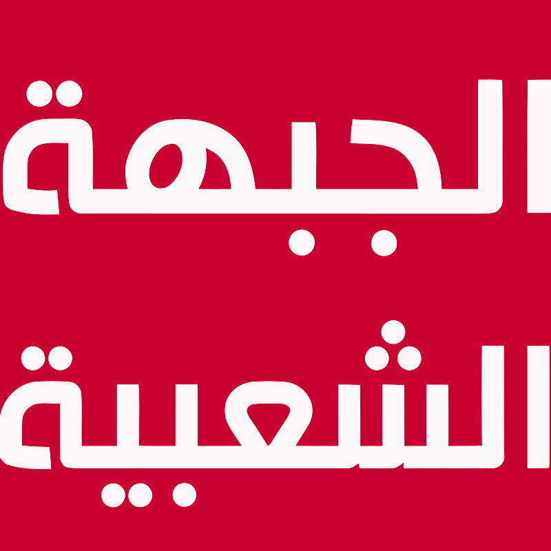 Mohamed Lassoued